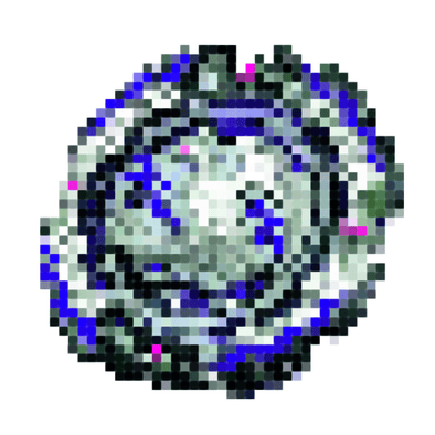 Random Beyblade-The Beybladers-Rebuy